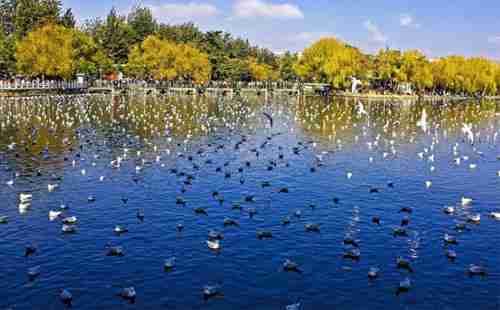 云南旅游到底怎么玩_云南旅游全攻略