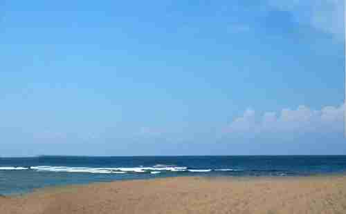 廈門旅游必去的景點有哪些_廈門最值得去的8個地方盤點