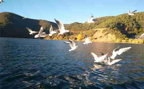 麗江到瀘沽湖怎么去，西昌到瀘沽湖怎么坐車