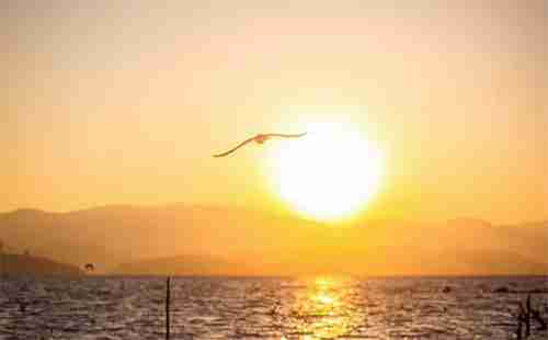 【大理美食攻略】到大理旅游不可錯過的特色美食盤點