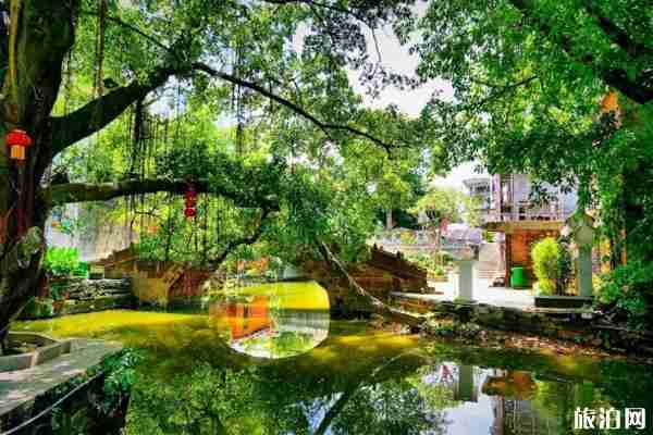 深圳周边游玩景点推荐