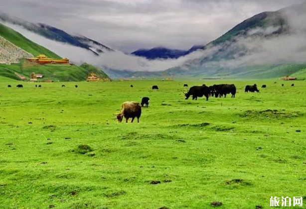 川西草原有哪些景点-最佳旅游时间及门票价格