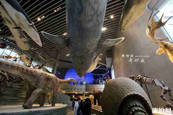 上海博物馆奇妙夜2020活动攻略