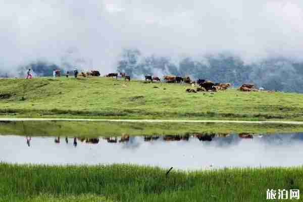 阿坝州有哪些免费景点适合夏天游玩