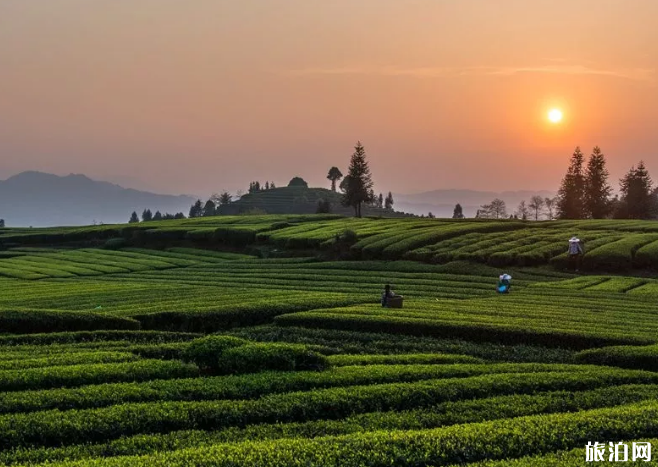 四川周边避暑的地方哪里最好