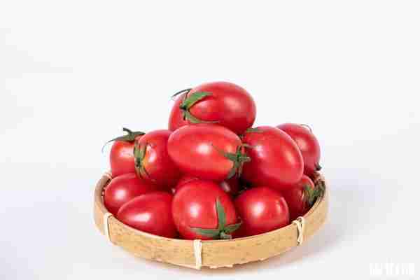 2020上海金山小番茄采摘时间 上海金山哪里有小番茄的