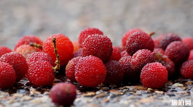 贵阳夏季有什么水果-采摘园推荐