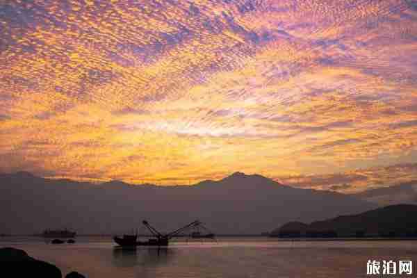 2020南澳岛赶海最佳时间是什么时候和最佳地点