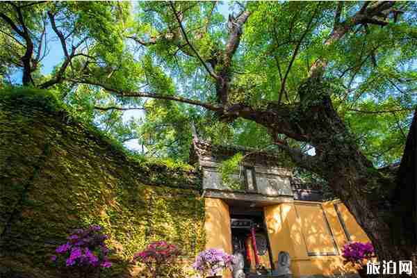 惠山寺2020元旦撞鐘祈福 祈福時間安排