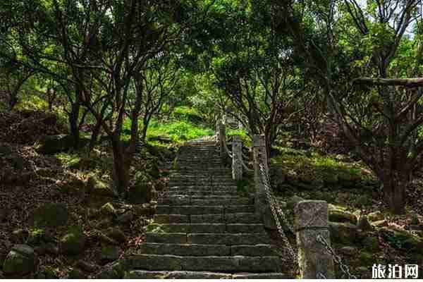 深圳塘朗山环山公路可以开车进去吗 登山口在哪里
