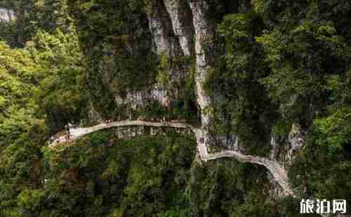 宜昌九鳳谷玻璃橋門票價格+優惠政策+交通