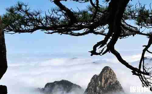 黃山一日游需要跟團嗎 山上容易迷路嗎