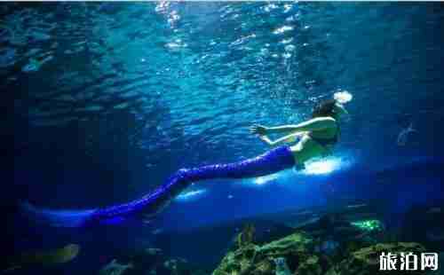 天津海昌極地海洋公園票價+優(yōu)惠政策