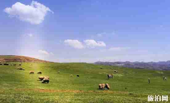 烏蒙大草原門票價格+優惠政策+住宿