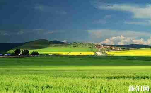 去呼伦贝尔需要准备什么