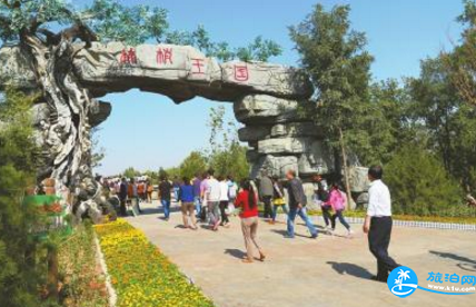 济南野生动物世界年卡价格+注意事项+讲解收费标准