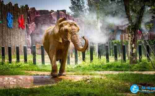 济南野生动物世界门票+免费政策+交通