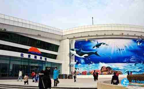 北京海洋馆年票+使用须知