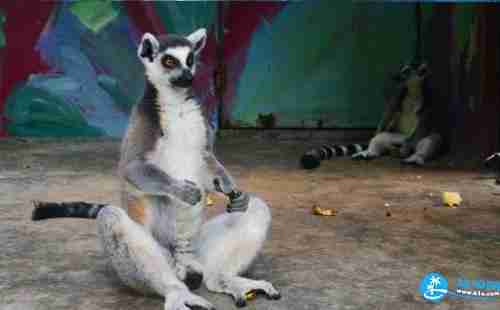 北京动物园门票价格+优惠政策