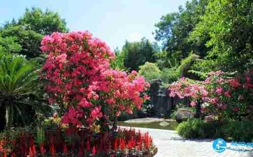 厦门园林植物园门票价格+优惠政策+交通