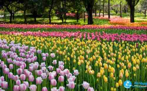 北京植物园门票价格+优惠政策+停车信息