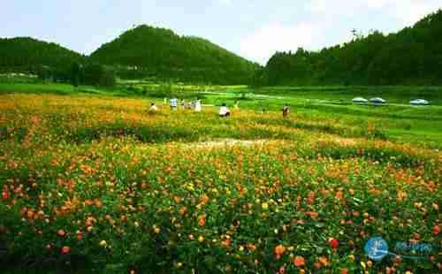 重慶大木花谷門票價格 大木花谷幾月去最好