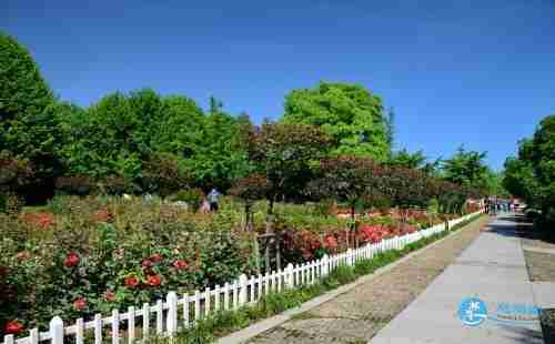 杭州市民卡公園年票怎么樣辦理 杭州公園年卡如何辦理