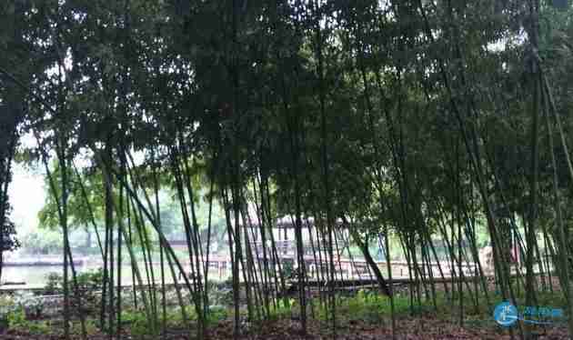 紹興2日游攻略 紹興二日游攻略