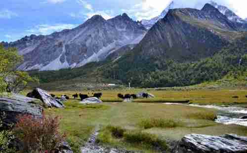 去香格里拉的机票贵吗