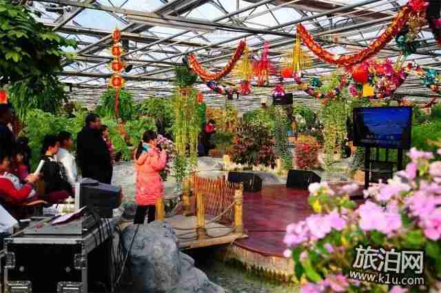 2018年春节期间北京丰台过年有哪些好玩的活动