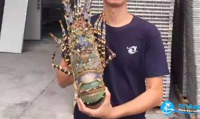 天津海博館開館了嗎 天津海博館在哪里