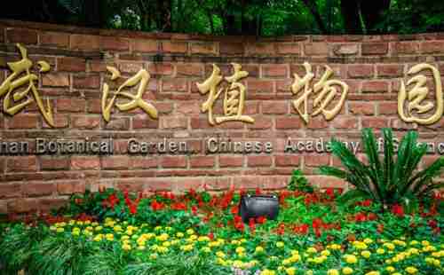 武漢植物園在哪 武漢植物園坐什么車去