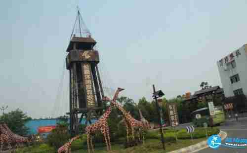 2018佛山長鹿農莊園區時間表+交通信息+門票價格