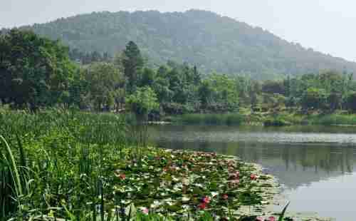 馬鞍山森林公園門票多少錢2018+自駕游路線