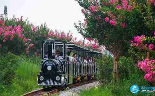 紫薇都市田园在哪里 紫薇都市田园几月好玩
