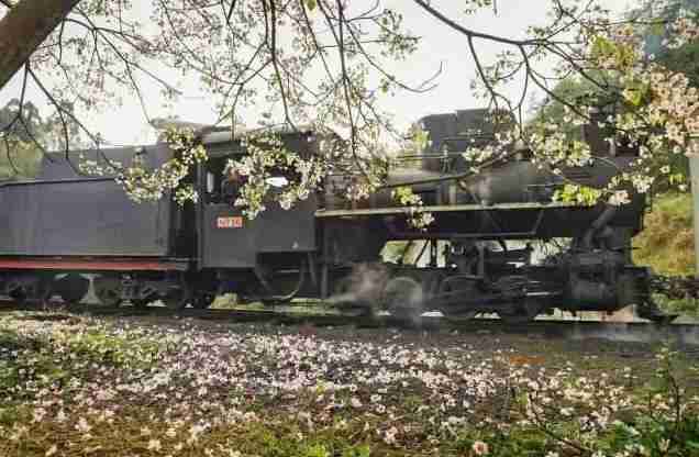 重庆周边冷门景点 重庆周边人少的景点有哪些