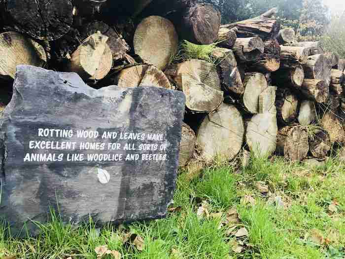 伦敦动物园开放时间 伦敦动物园几点开放