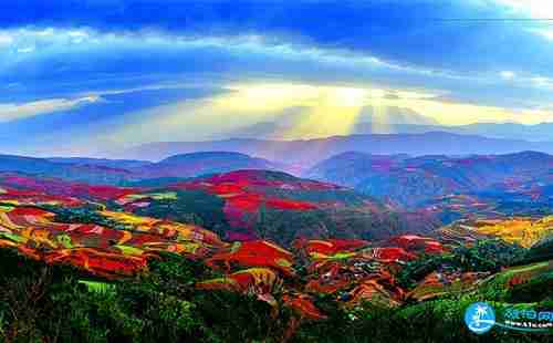 云南包车多少钱一天 云南旅游包车价格