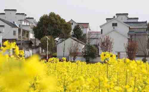 南京夏天旅游去哪里比較好 地址在哪里