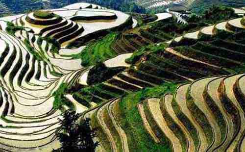 五一假期去龍脊梯田有什么好玩的 攻略+門票
