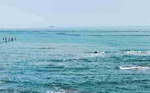 一個人旅行去哪好 景點有哪些