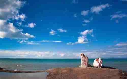 青海湖最佳旅游时间 青海湖什么季节去最好