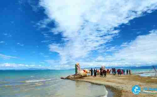 青海湖注意事项 环青海湖要带什么