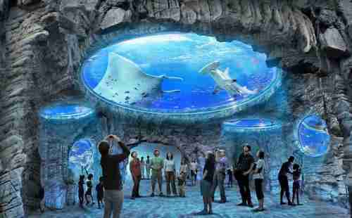 香港海洋公园怎么去 香港海洋公园攻略2018