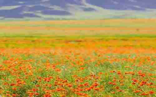 五月適合去哪里旅行+景點介紹