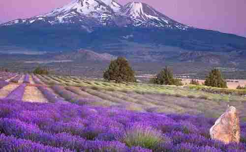 普羅旺斯旅游攻略2018