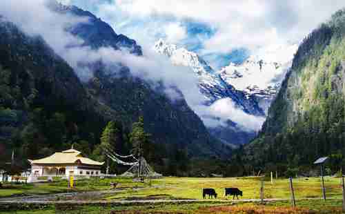 雨崩村在哪里 旅游景点介绍