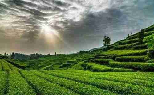雅西高速公路沿途景點