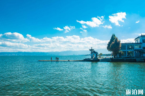 大理租電動車哪家靠譜