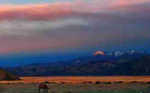 越野去哪里+地区介绍